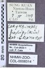 Etiketten zu Corymbitodes fuscipes (Miwa, 1931) (NHMW-ZOO-COL-0008314)